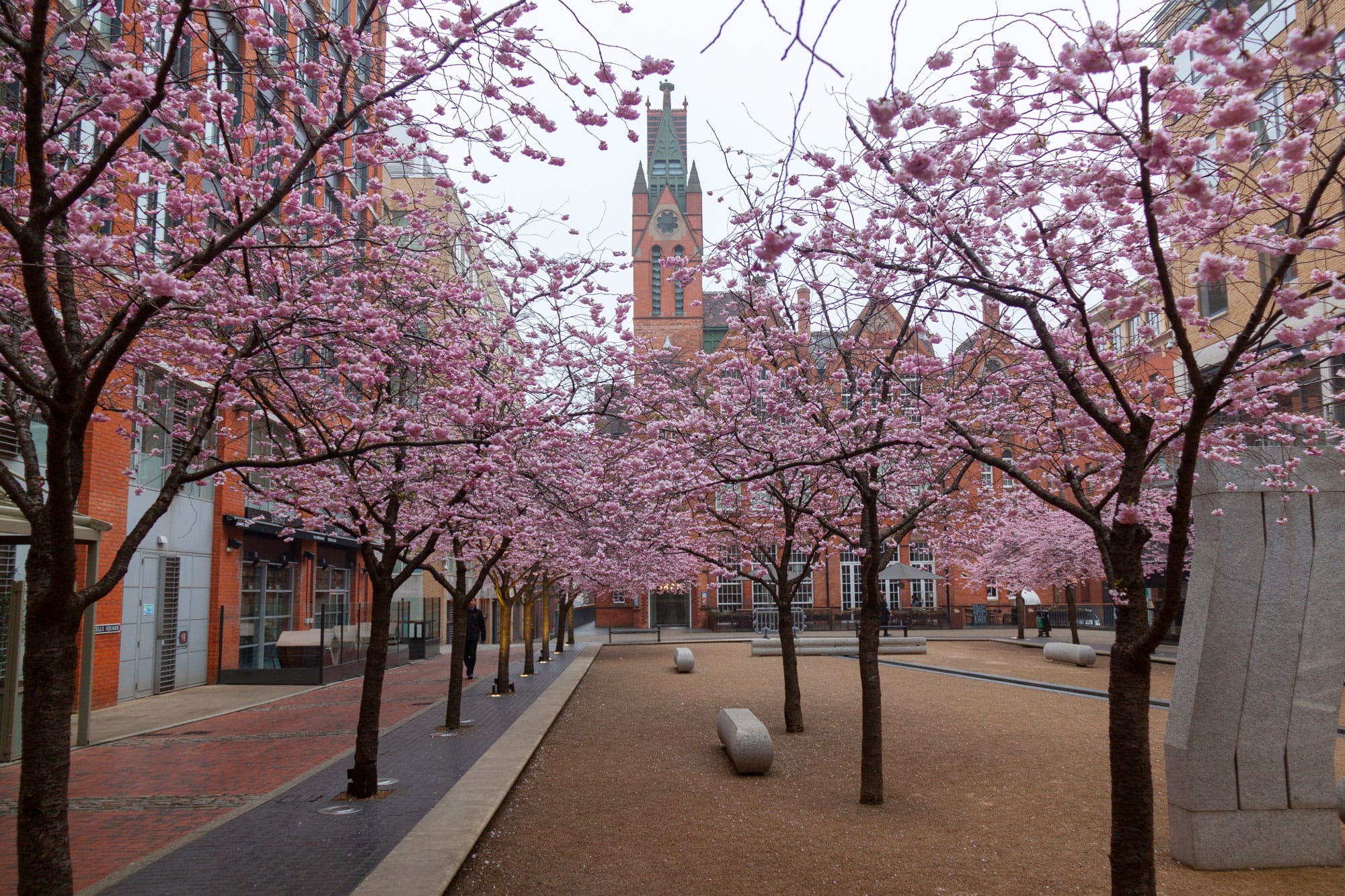 Cherry Blossom experiments » Damien Walmsley Photography Rebel