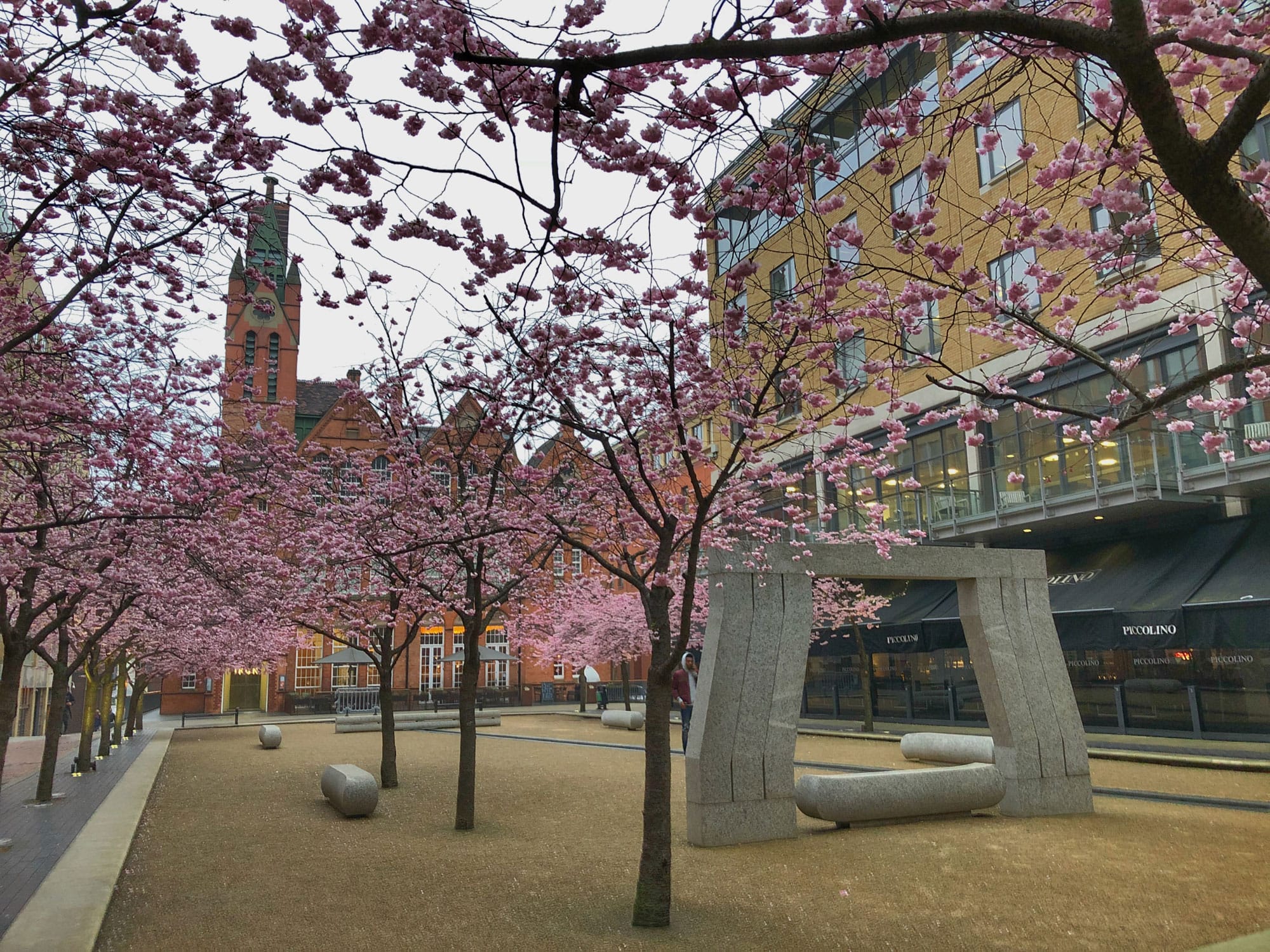 Cherry Blossom experiments » Damien Walmsley Photography Rebel