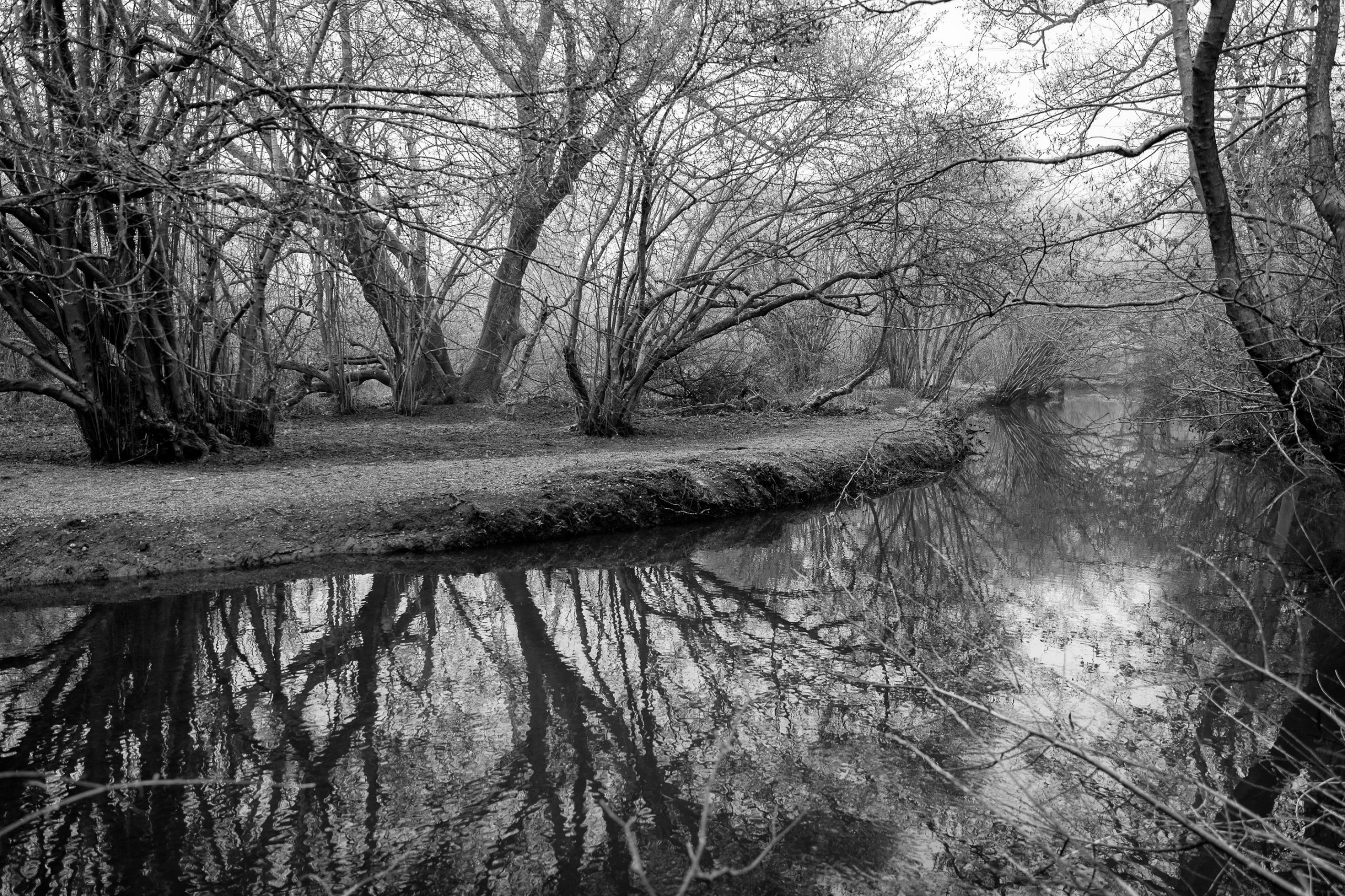 Black and white reflections in the river