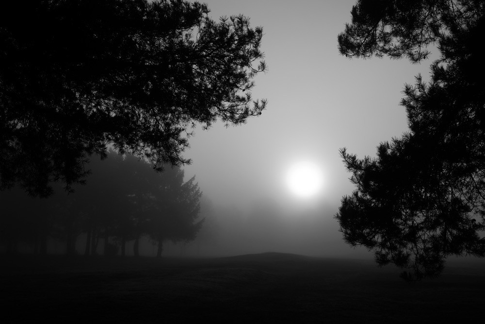Foggy Sunrise in Knowle, Solihull.