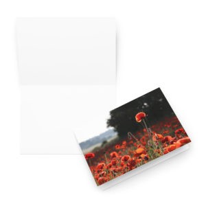 The poppies are back Greeting card