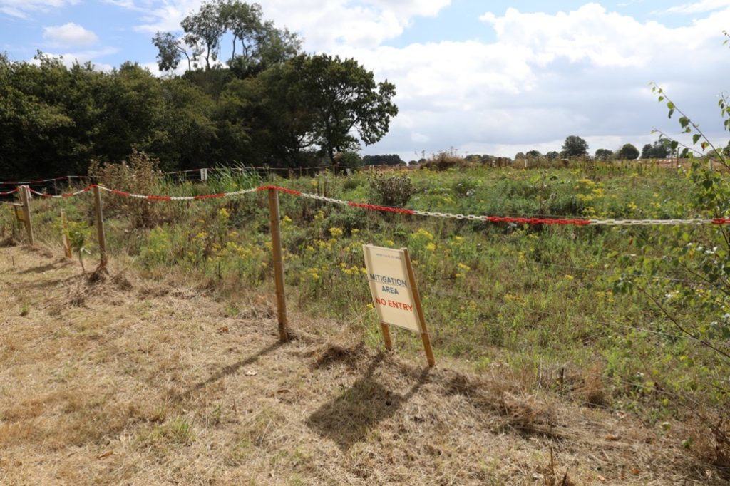 16 Acre Wood, Berkswell, 2022