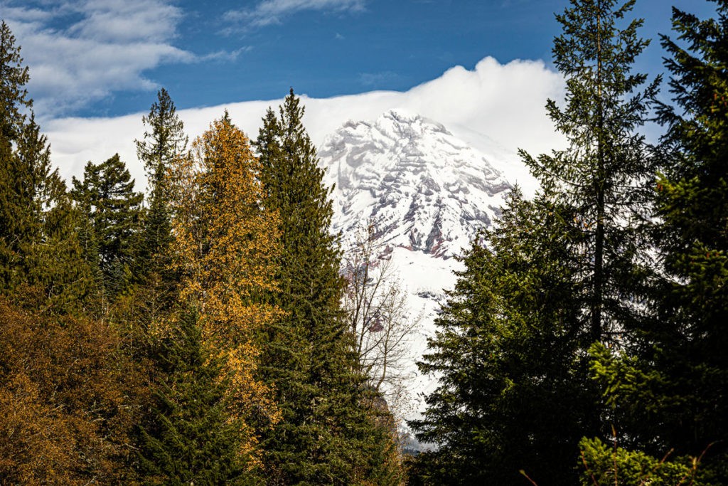 Mount Rainier from the Kautz Creek Viewpoint Nov 2022