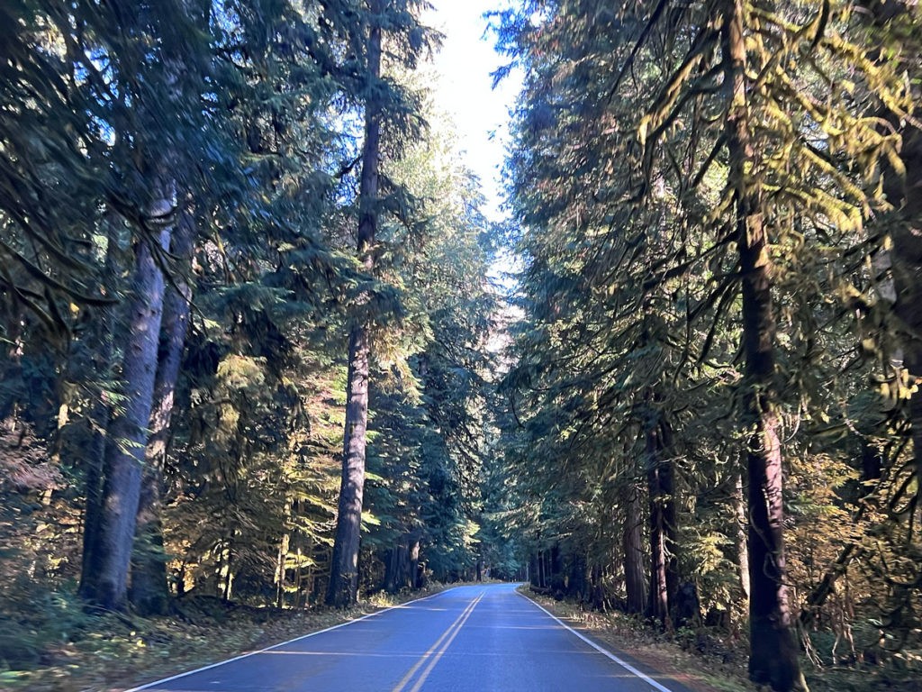 The road into the Mount Rainier Park. Nov 2022