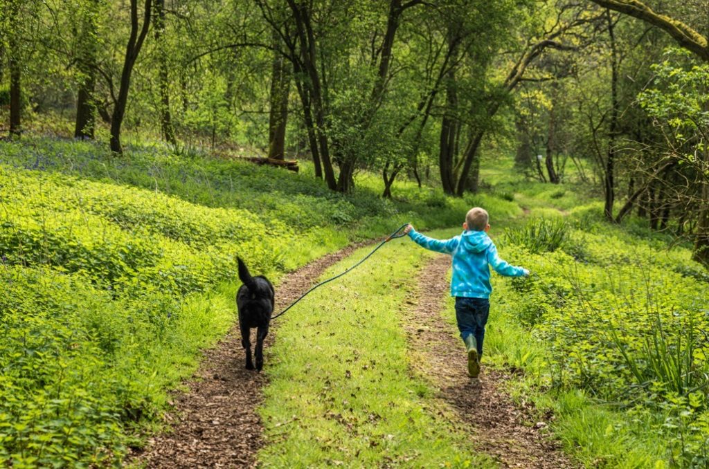 Bluebell Walk, Heart of England Forest, Great Alne. April 2023